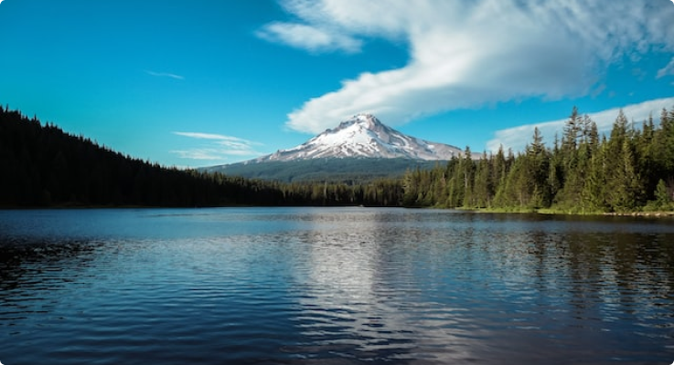 Marquam Nature Park